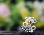 Justerbar ring bikake, forgylt med 18K gull