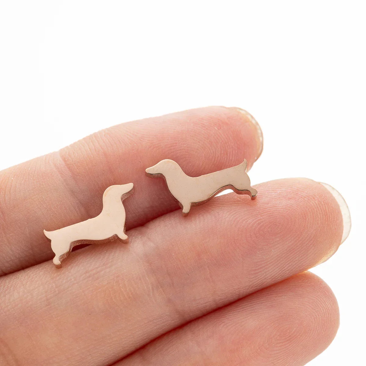 Ørestikker Dachshund